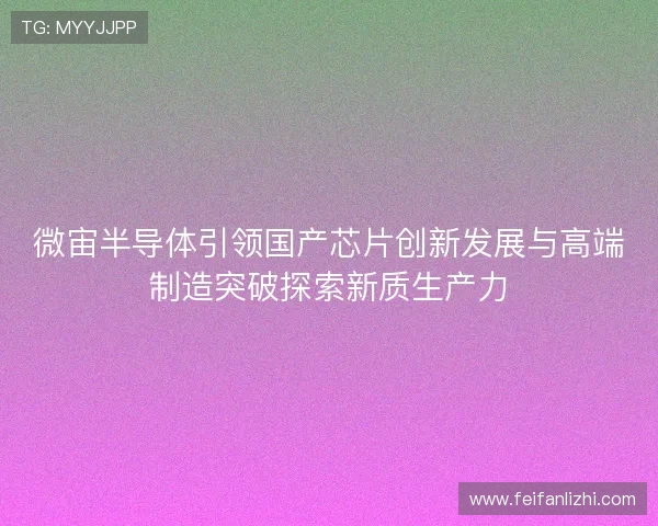 微宙半导体引领国产芯片创新发展与高端制造突破探索新质生产力